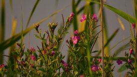 2022 13 en 22 juli 181